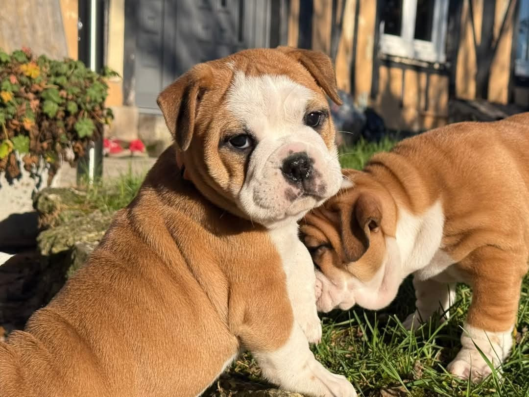 Appel du val de gloire